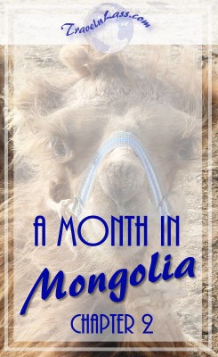 A Month in Mongolia Chapter 2 - Baby Camel