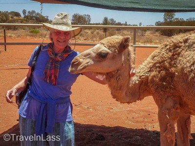 The TravelnLass and a baby camel