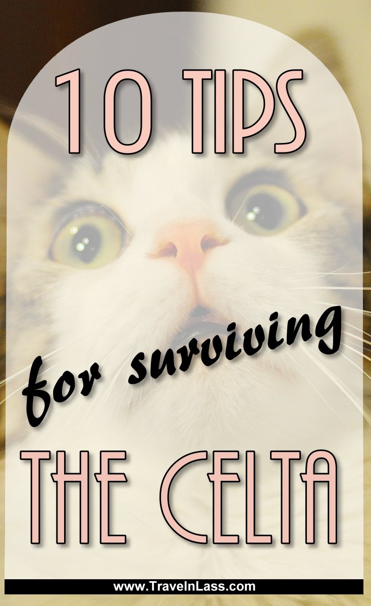 10 Tips for Surviving the CELTA