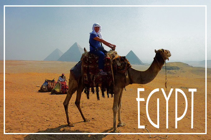 Foto Flip Friday Sample Pyramid Camel Postcard photo Front, June 2014 Theme: Follow Your Dreams
