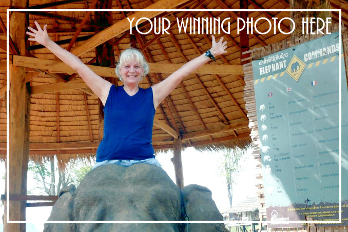 Foto Flip Friday Sample Postcard photo Front, June 2014 Theme: Follow Your Dreams