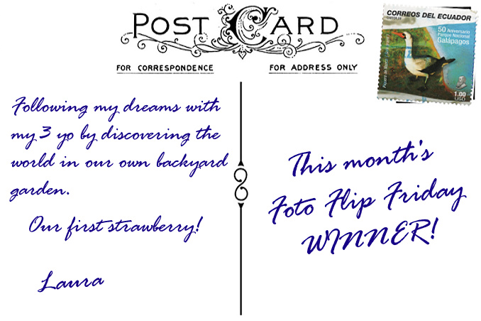 Foto Flip Friday Winner Laura NoCureForCuriosity My Own Backyard Postcard photo Back