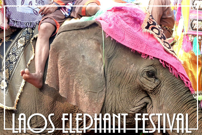 Foto Flip Friday Sample Laos Elephant Festival Postcard photo Front, July 2014 Theme: Celebrations