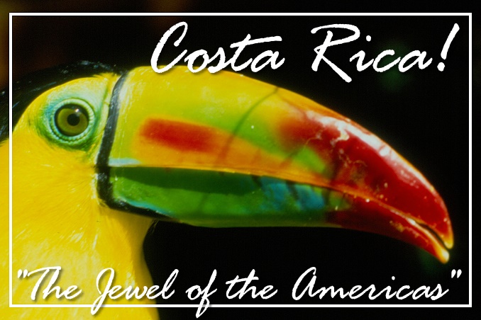 Foto Flip Friday Postcard Front August 2014 Theme: Yellow - Costa Rica Toucan