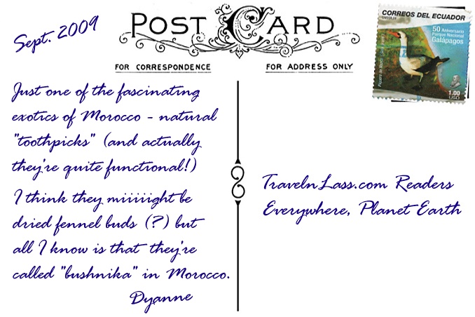 Foto Flip Friday November 2014 Theme: Travel Eats - Morocco Toothpicks Postcard Back