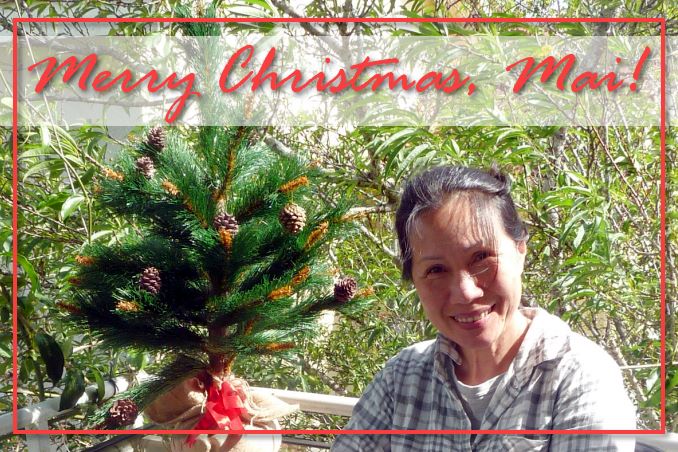 Foto Flip Friday October 2014 Theme: Faces - Merry Christmas Mai, Dalat Vietnam Postcard photo Front