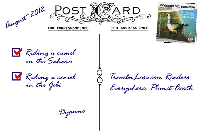 Foto Flip Friday October 2014 Theme: Faces - Mongolian Baby Camel Postcard photo Back