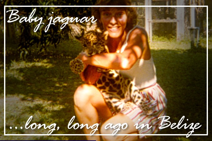 Foto Flip Friday October 2014 Theme: Animals - Cuddling a Jaguar, Belize Postcard photo Front