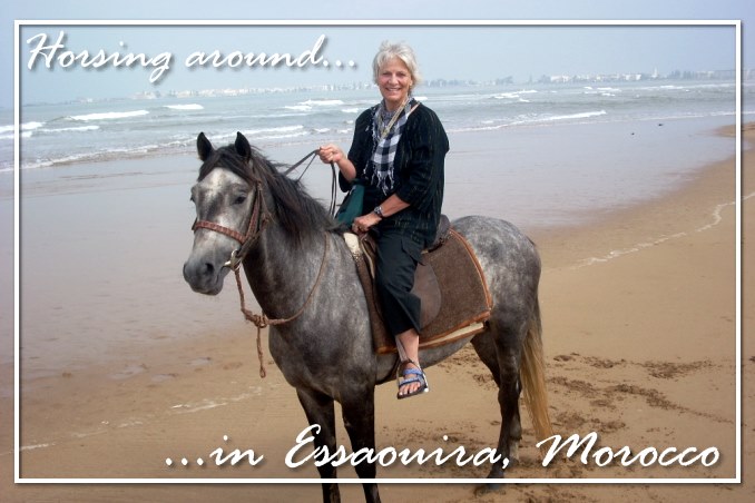 Foto Flip Friday October 2014 Theme: Animals - Horseback on a Moroccan Beach Postcard photo Front