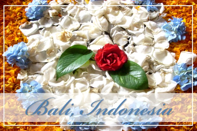 Foto Flip Friday March 2015 Theme: Blooms - Bali Petals Blossoms Postcard photo Front