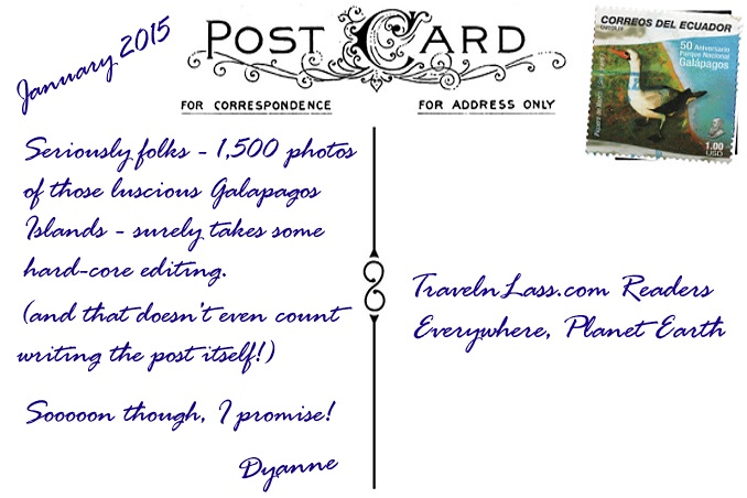 Foto Flip Friday March 2015 Theme: Blooms - Galapagos Blooms Postcard photo Back