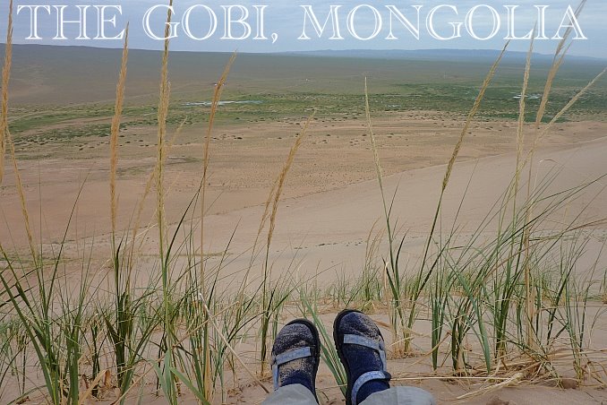 Foto Flip Friday July 2015 Theme: Toes in Situ, The Gobi Desert, Mongolia Postcard photo Front