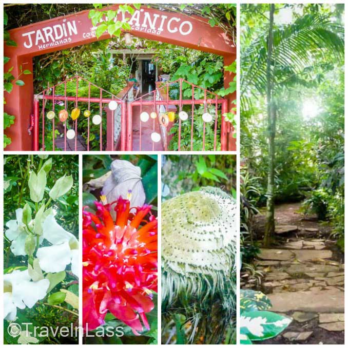 The Vinales Botanical Garden