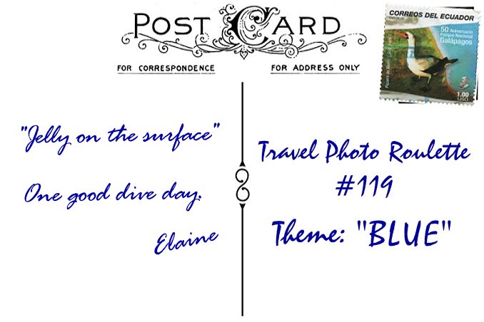 Travel Photo Roulette #119, Your Message Here