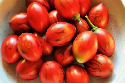 Tamarillo fruit a.k.a. Tree Tomato