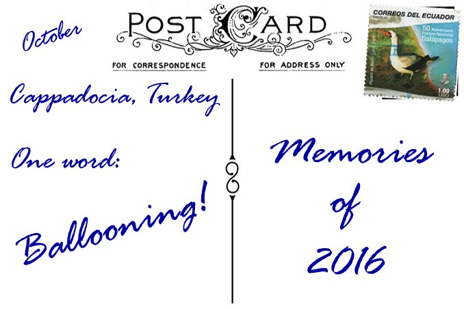 2016 in Review