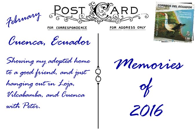 2016 in Review