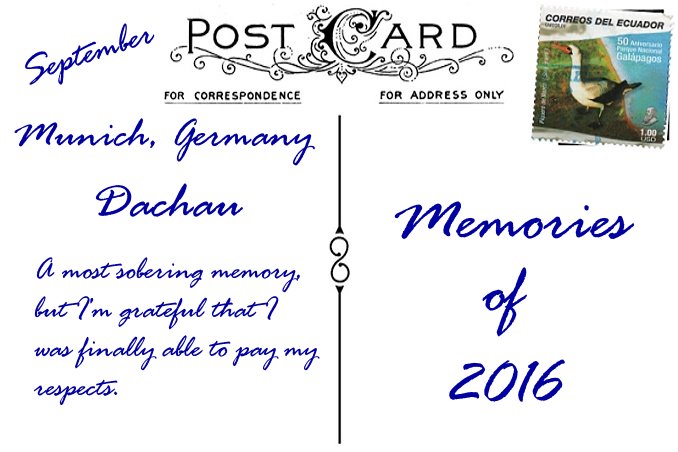 2016 in Review