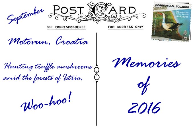 2016 in Review