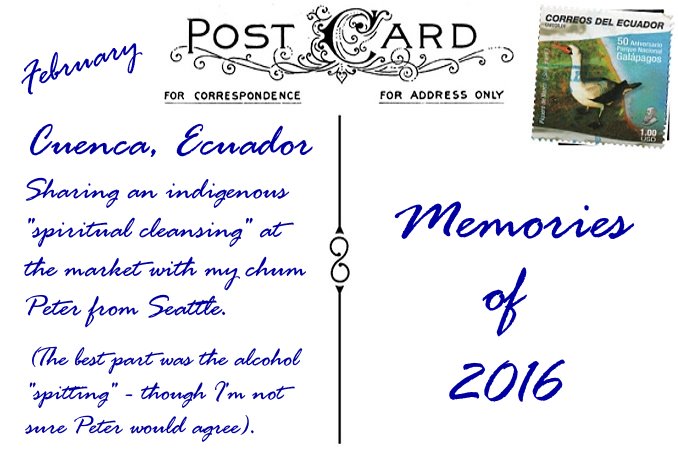 2016 in Review