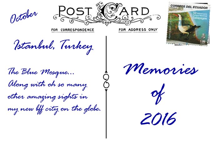 2016 in Review