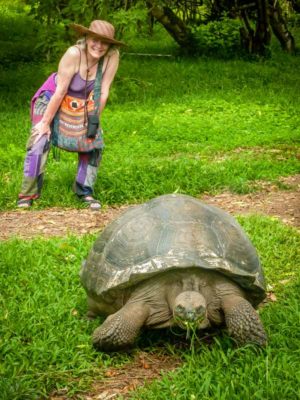 Galapagos Islands Tortoise 2015