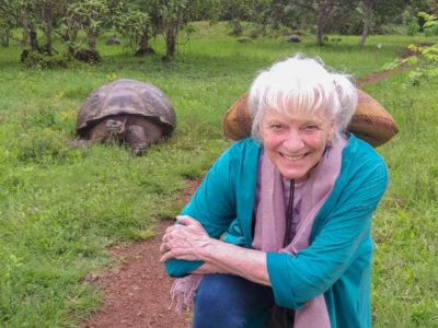 Galapagos Islands Tortoise 2019