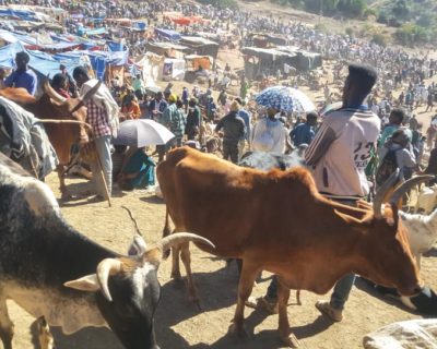 The weekly market at Lilabela, Ethiopia
