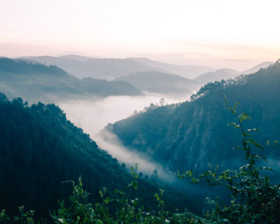 The misty hills of Uganda