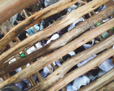 Looking down beneath the Timket bleacher