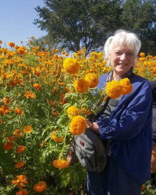 Picking marigolds for Day of the Dead in Oaxaca, Mexico