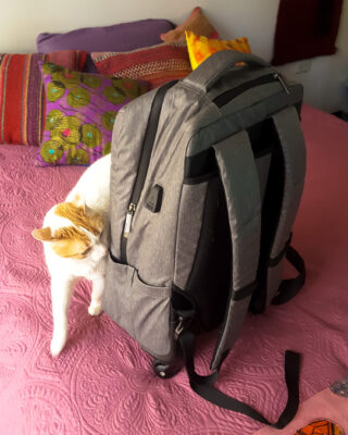 OMG - the TravelnLass' new CONVERTABLE rollie/backpack!