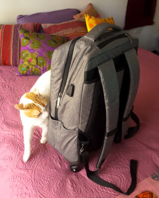 Packing Light - convertible rollie-backpack