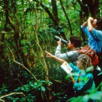 SoYouWannaPart4MonteverdeBirdwatching350x273 (So You Wanna Be an Int’l Tour Operator, Huh? Part IV (the FINAL!))