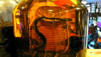 CobraSlider (Eating Live Cobra: What I WON’T be doing in Hanoi soon…)