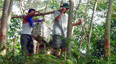 RubberWorkersSlider (O.R.A.N.G.U.T.A.N.S.)