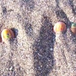 SandToes350x200 (Time Out for Dreaming…)