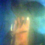 FishNibble350x443 (Happy (Lunar) New Year (Tết) from Vietnam!)