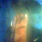 FishNibble678x600 (Happy (Lunar) New Year (Tết) from Vietnam!)