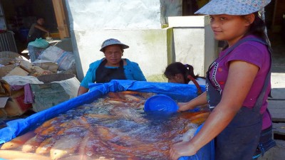 Gallery1FishVendor (Lake Toba, Sumatra: A Lesson in R.E.L.A.X.A.T.I.O.N.)