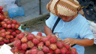 Gallery1SpikeyFruitVendor (Lake Toba, Sumatra: A Lesson in R.E.L.A.X.A.T.I.O.N.)