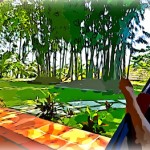 Hammock350x263 (Diary of a Birthday in Paradise (a.k.a. Phu Quoc Island))