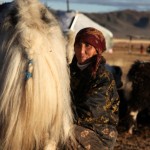 YakMilker452x678 (Heading to Chinngis Khaan-Land (a full month in MONGOLIA!))