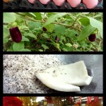 FinalLongEggComposite678x1099 (So, You Wanna Cook Thai, Huh?)