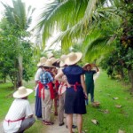 RightGardenTour200x267 (So, You Wanna Cook Thai, Huh?)