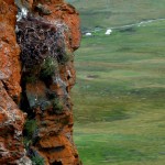 EaglesNest685x514 (A Month in Mongolia – Chapter 2: Milking Yaks in the Wild)