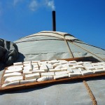 GobiCheeseOnGerRoof (A Month in Mongolia – Chapter 1: The Gobi)