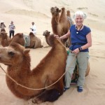 GobiDyCamel (A Month in Mongolia – Chapter 1: The Gobi)