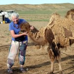 GobiDyRaggedCamel (A Month in Mongolia – Chapter 1: The Gobi)