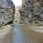 GobiTightCanyon300 (A Month in Mongolia – Chapter 1: The Gobi)